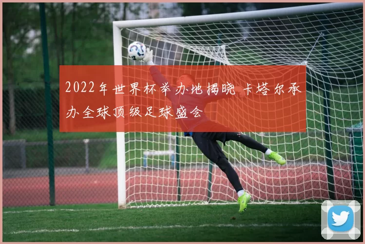 2022年世界杯举办地揭晓 卡塔尔承办全球顶级足球盛会