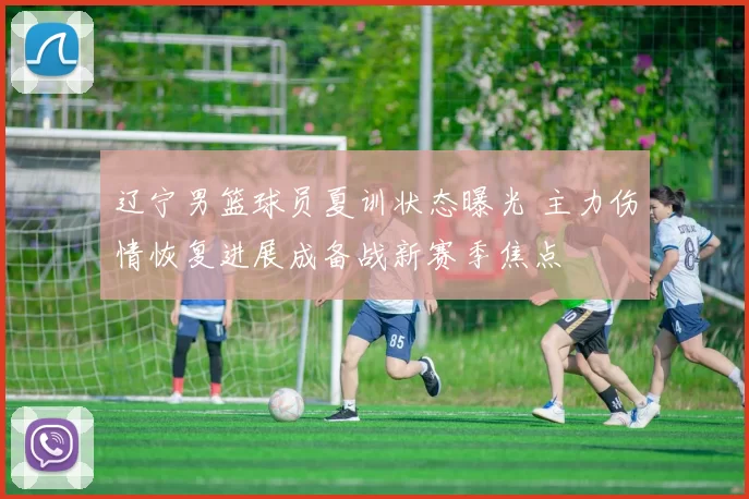 辽宁男篮球员夏训状态曝光 主力伤情恢复进展成备战新赛季焦点
